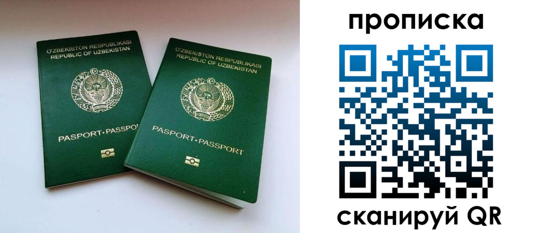 прописка поиск в Кузнецке